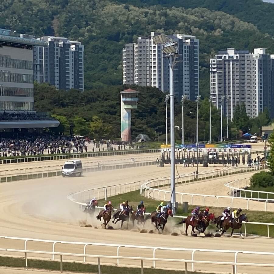 출발점을 막 떠난 경주마들이 힘차게 뛰고있는 모습
