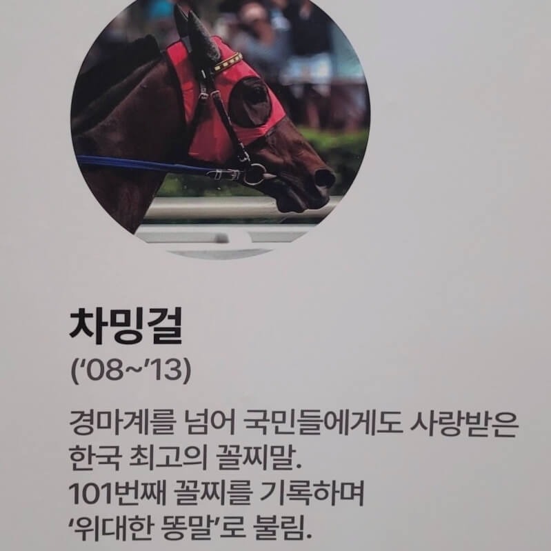 꼴찌말로 사랑받은 차밍걸 프로필 사진