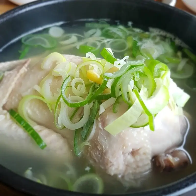 초복에 먹는 삼계탕 사진