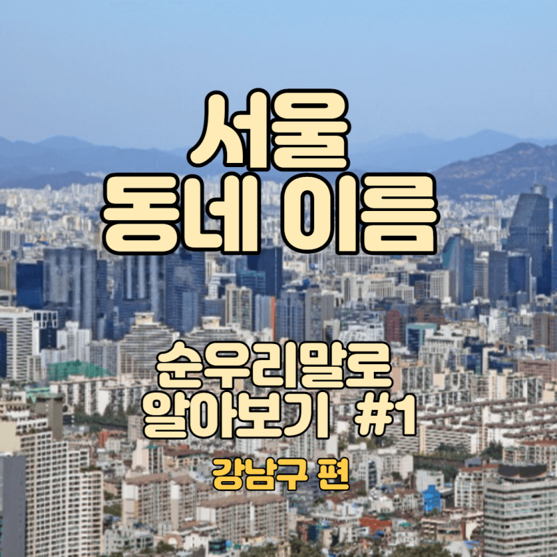 서울 강남구 사진에 글제목을 텍스트로 표기